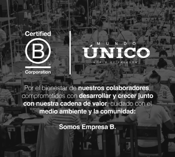 Boxer Casino - Image 5