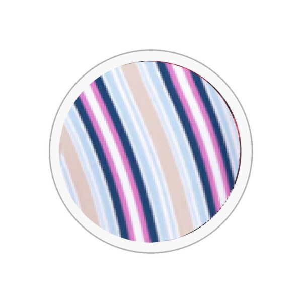 Boxer Festín - Image 5